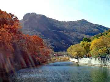 新澳天天开奖资料大全旅游团，飞触电脑